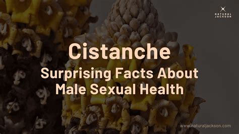 We do not have any recommendations at this time. . Cistanche male benefits